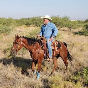 Meet your Posher, Michael